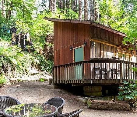 Lofted Studio Cabin In The Redwoods! Guest House Notleys Landing Bagian luar foto