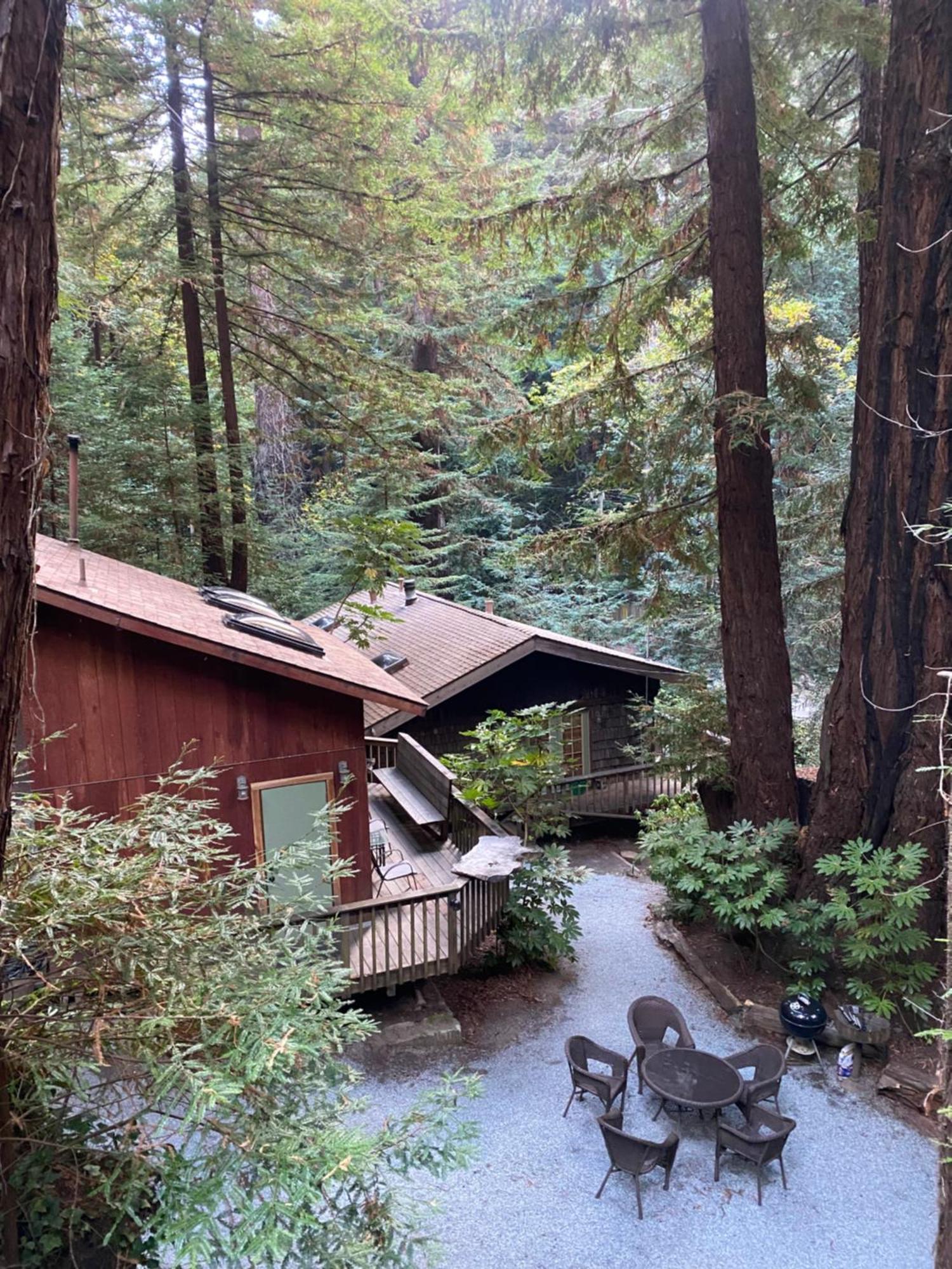 Lofted Studio Cabin In The Redwoods! Guest House Notleys Landing Bagian luar foto