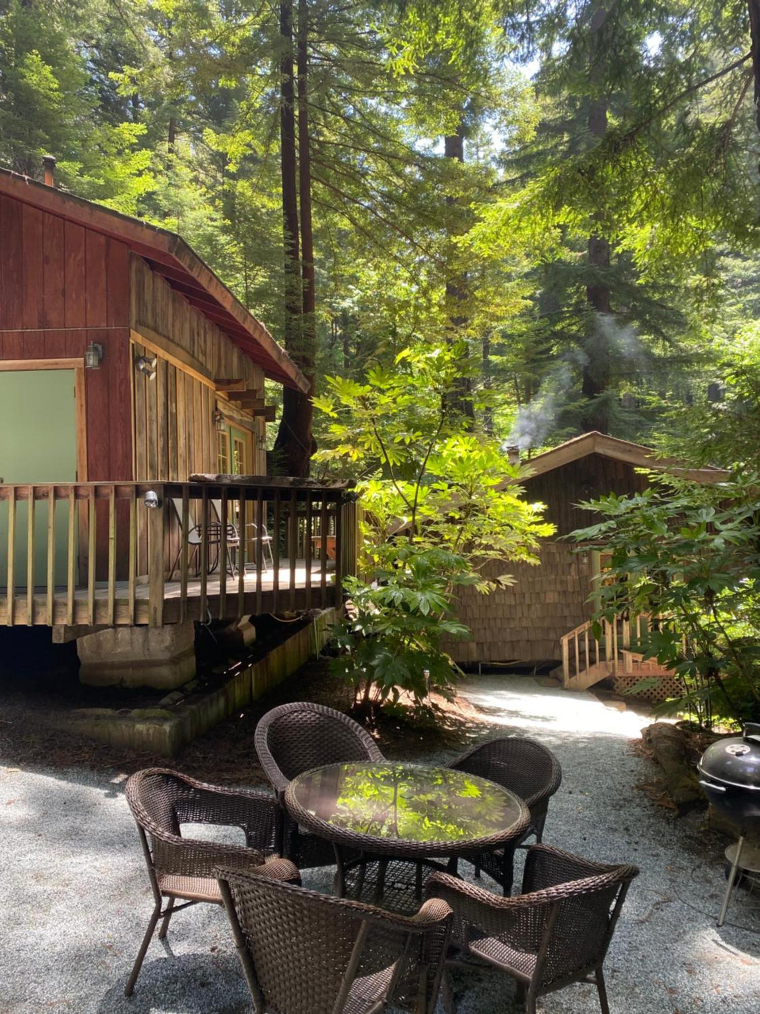 Lofted Studio Cabin In The Redwoods! Guest House Notleys Landing Bagian luar foto