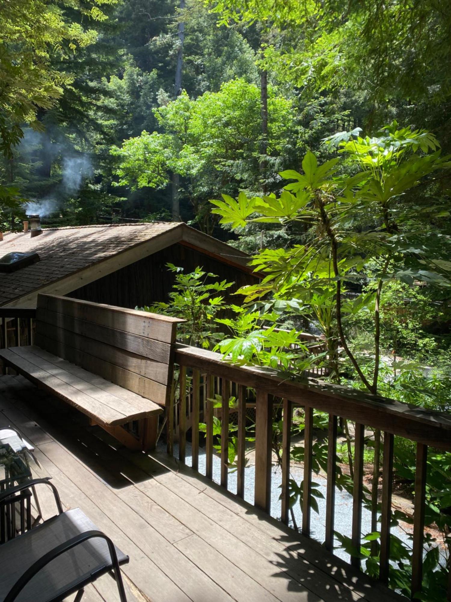 Lofted Studio Cabin In The Redwoods! Guest House Notleys Landing Bagian luar foto